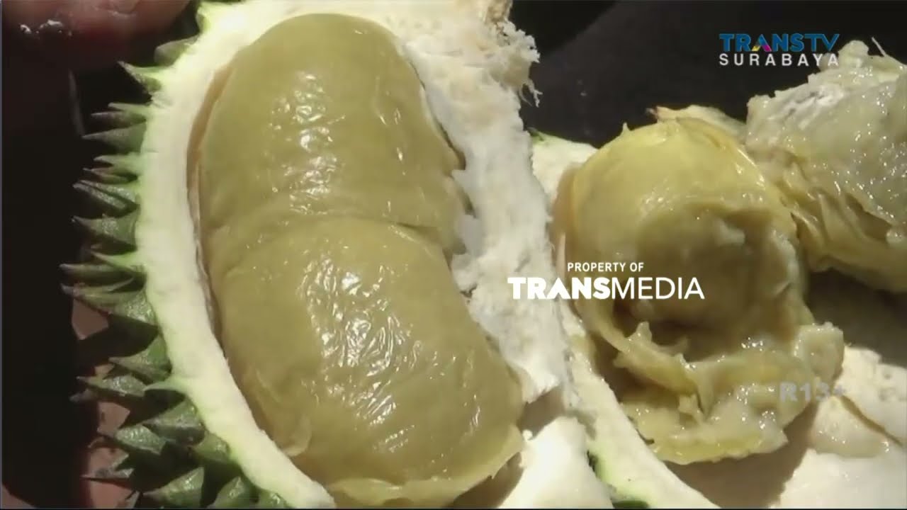 Petani Lumajang Panen Melon dan Durian Gencono