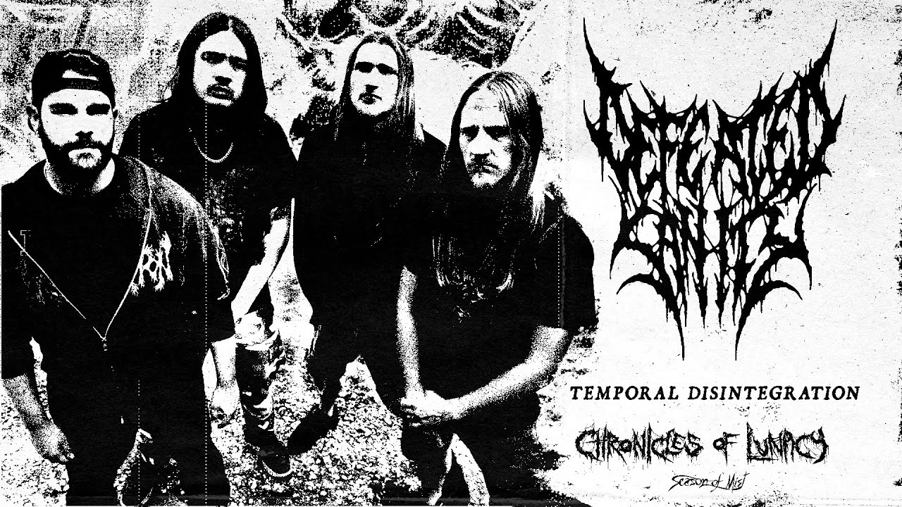 Defeated Sanity - 