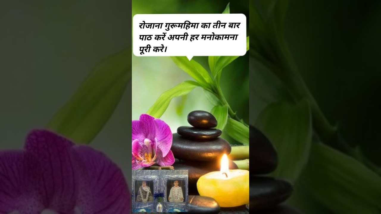 श्री गुरु महिमा//Shri Guru Mahima//SSDN