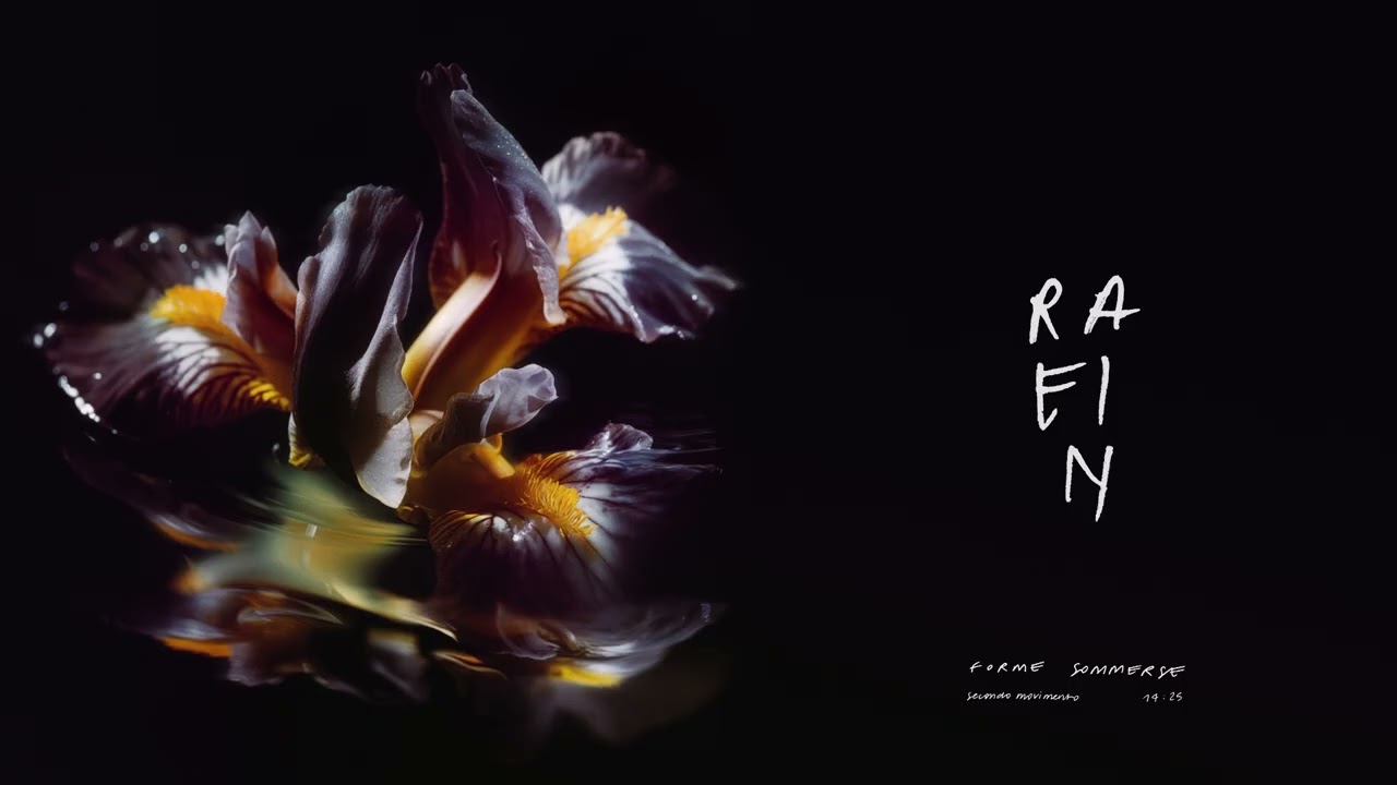 RAEIN - FORME SOMMERSE | Secondo Movimento