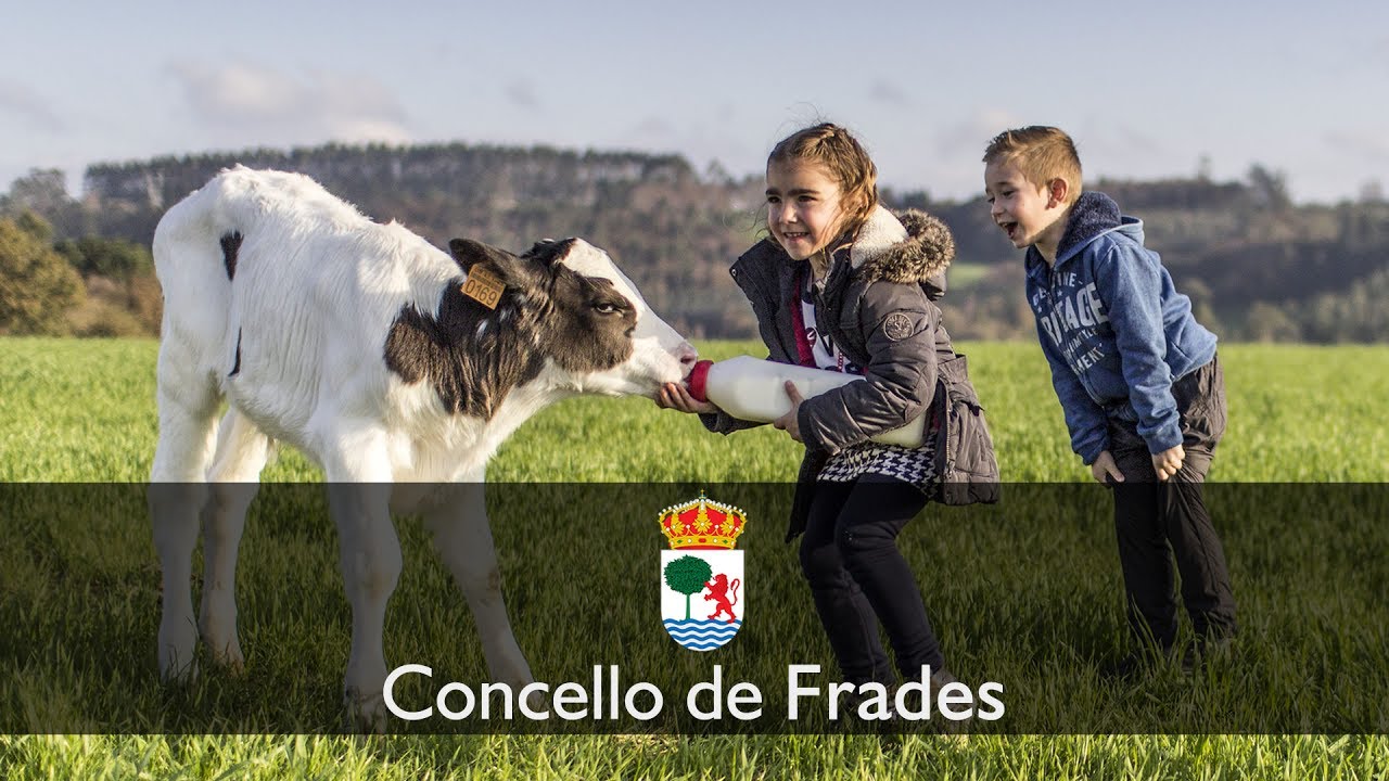 Concello de Frades