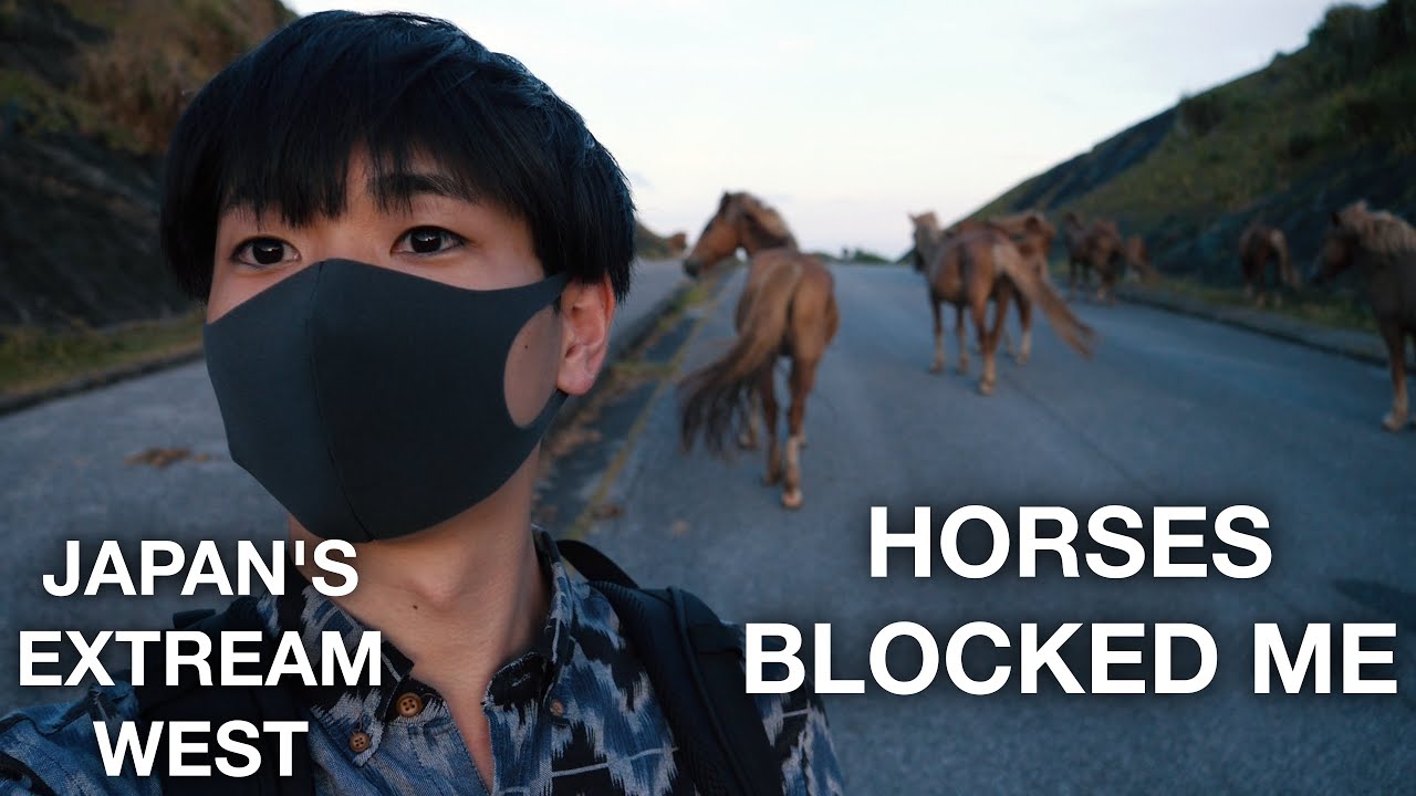 I Went to the WESTERNMOST place of Japan part 2 ｜Yonaguni, Okinawa 与那国島