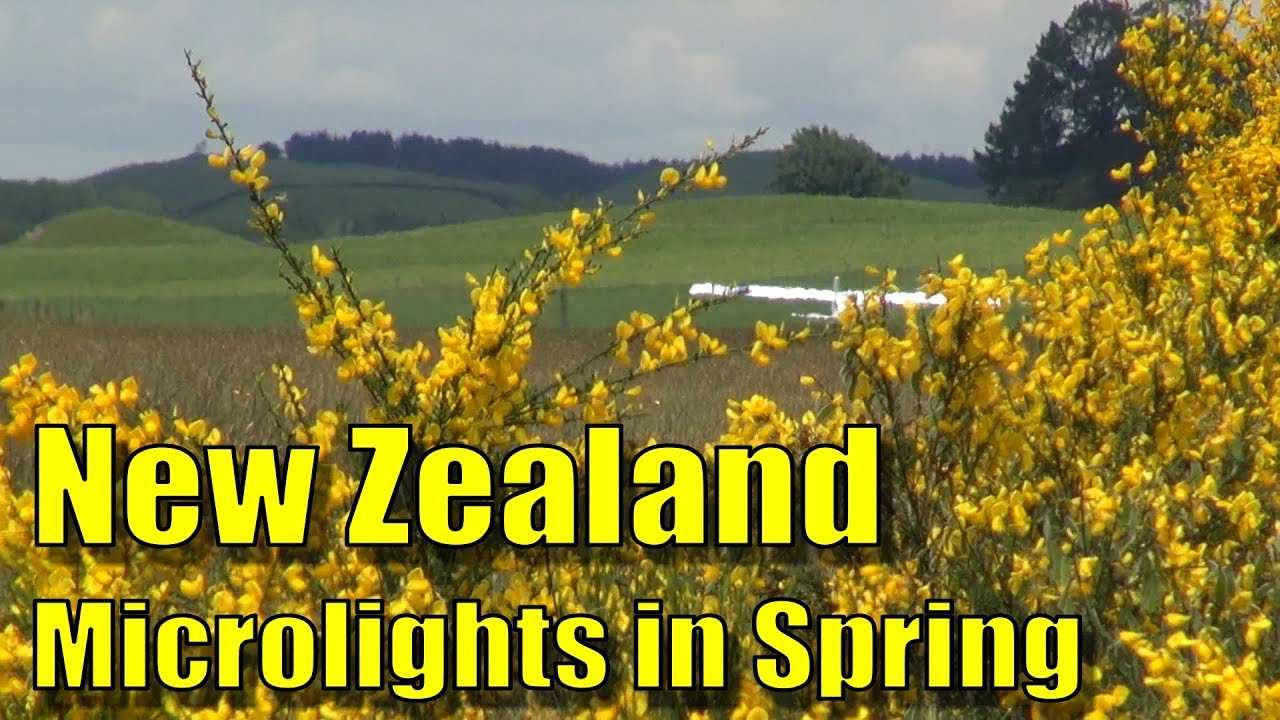 A microlight invasion of Tokoroa Airfield