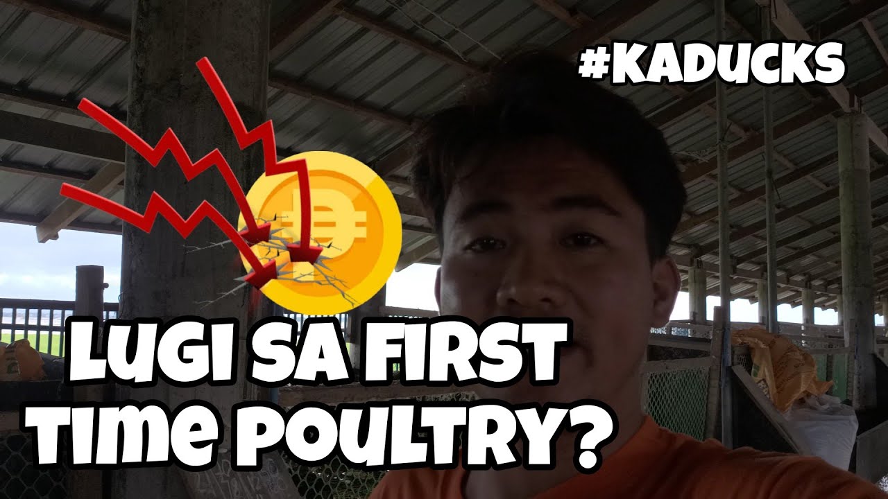EP114 - LUGI SA FIRST TIME POULTRY #kaducks