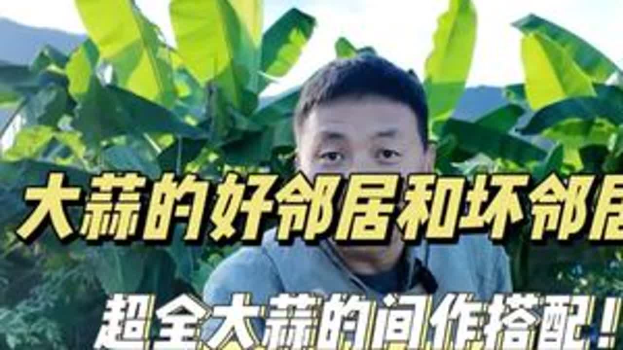 大蒜的好邻居与坏邻居 有些秋冬蔬菜和大蒜间种在一起好处是相当多，但是有些蔬菜和大蒜间种在一起反而坏处很多，你知道它们是哪些蔬菜吗？#间种 #大蒜种植 #蔬菜间种 #大蒜种植口诀 #家庭种植