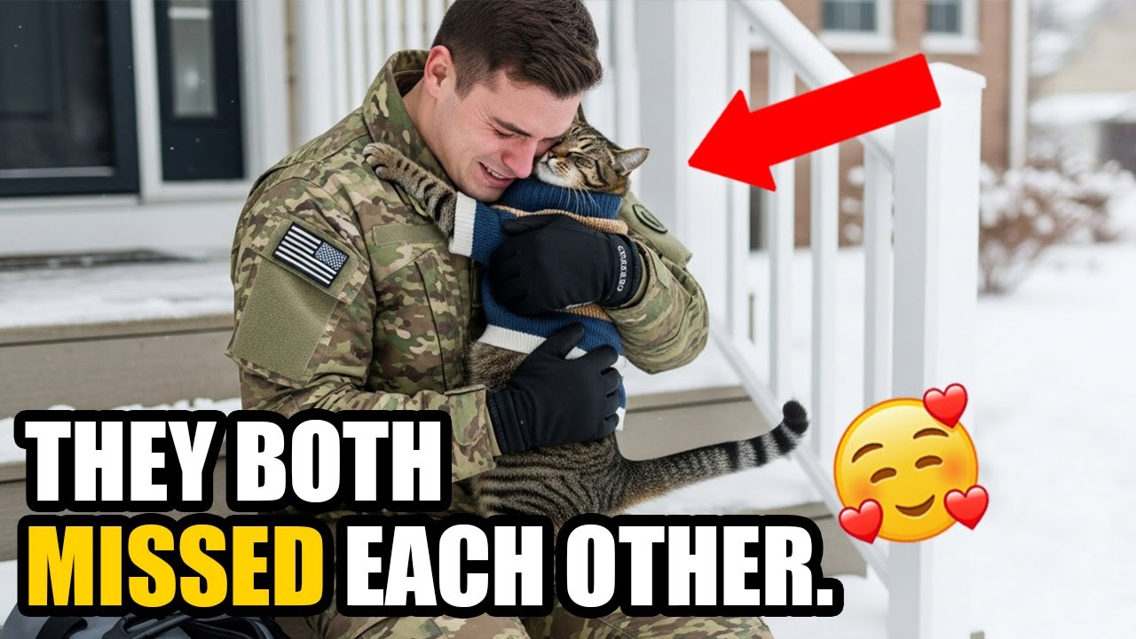 😺 Cat Reunites With His Soldier Owner After Months Away | Emotional Cat Reunion 🐾