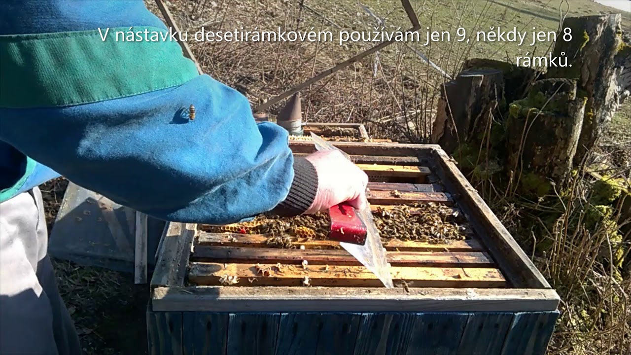 Volná stavba 2 - rozšíření, příprava včelstva na jaro