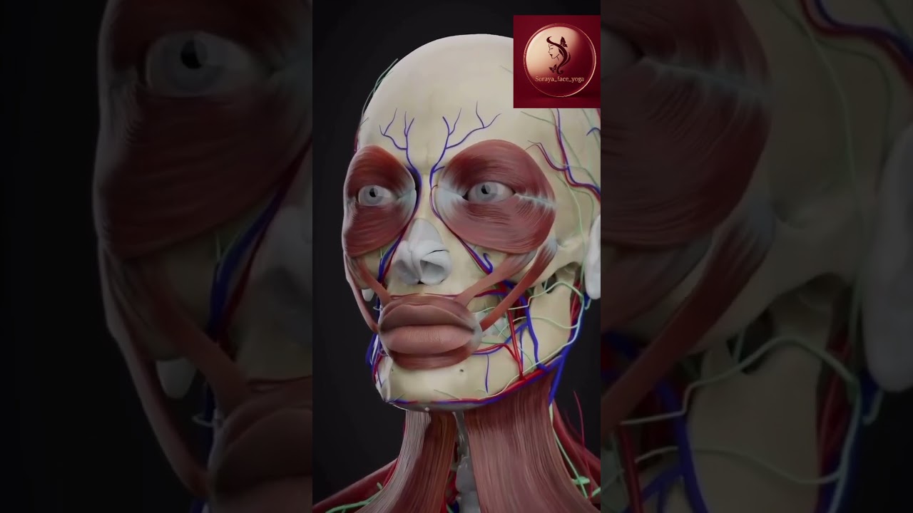 Comment rajeunir naturellement