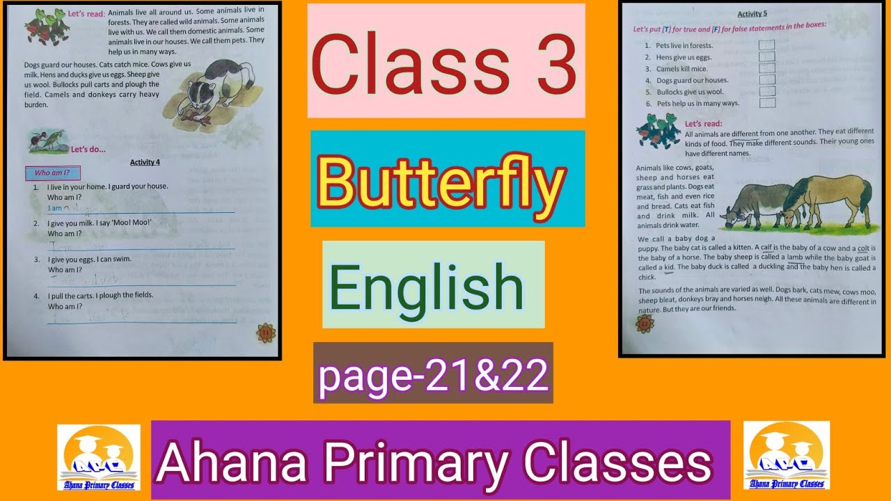 Class 3/Butterfly/page 21 & 22//তৃতীয় শ্রেণির ইংরেজি পৃষ্ঠা ২১,২২