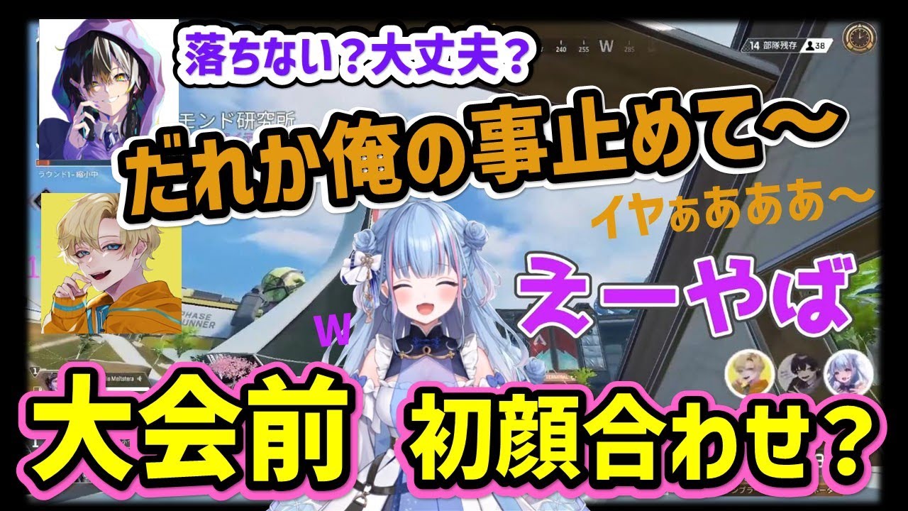 【初顔合わせ？】大会前にトロール＆適当な相槌に呆れるさくちゃん【碧依さくら/Apex/エデン/メルトステラ/切り抜き】