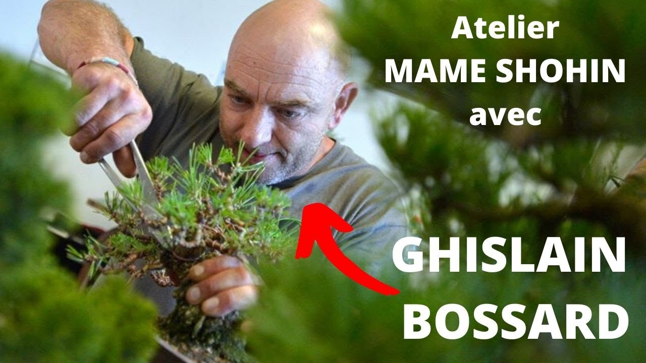 Atelier MAME SHOHIN avec GHISLAIN BOSSARD