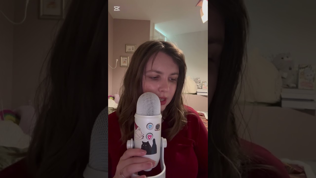 ASMR M&uuml;nster facts #asmr #asmrfacts