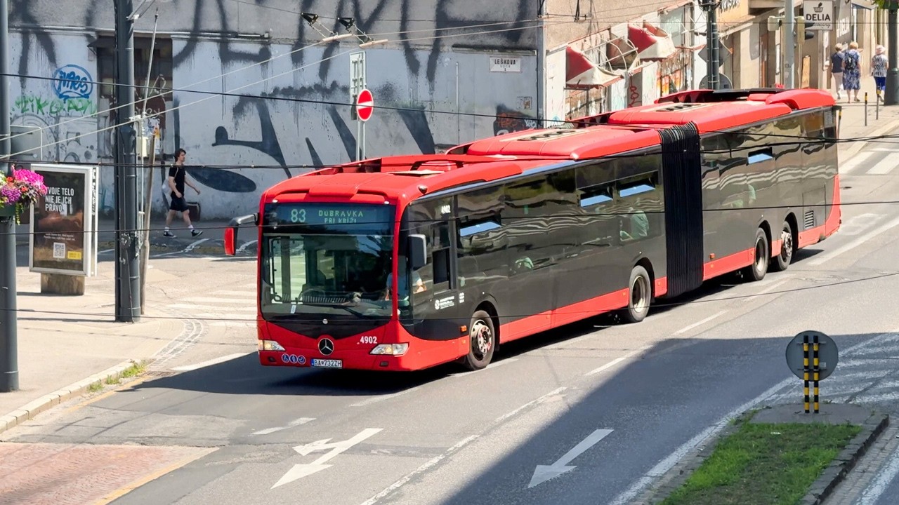 Автобусы в Братиславе, Словакия 🇸🇰 | 2025