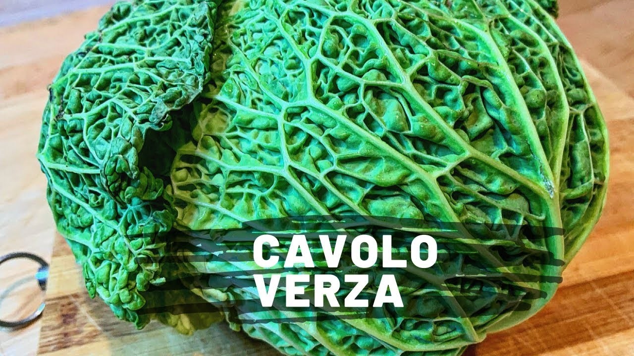 Cavolo Verza Stufata 🥦 Ricetta Facile e Veloce, Vegetariana, Dietetica e Depurante