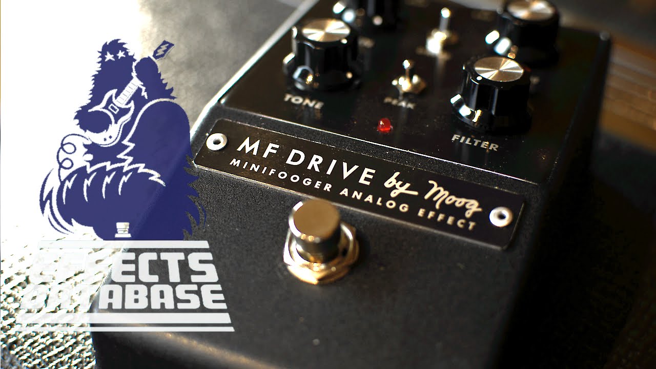 Moog Minifooger Drive demo (by Joris & Jesse)