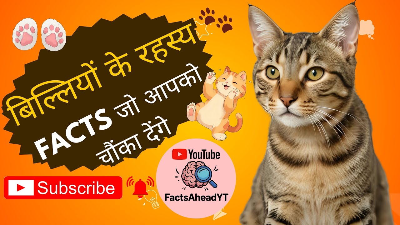बिल्लियों के रहस्य 🐾Facts जो आपको चौंका देंगे Secrets of Cats, Facts That Will Shock You #factoholic