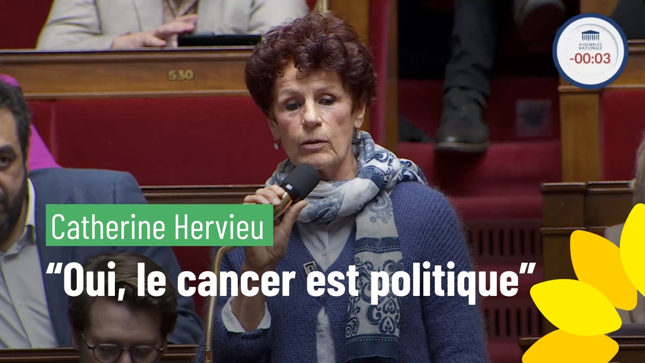 Catherine Hervieu : 
