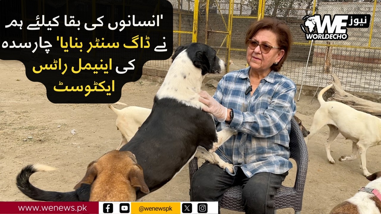 We built a dog center for the survival of humans, says Charsadda's Animal Rights activist