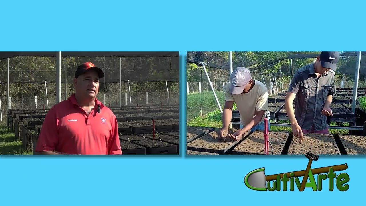 Vivero tecnificado para plantas meliferas de la UBPC Antonio Díaz Fleites 