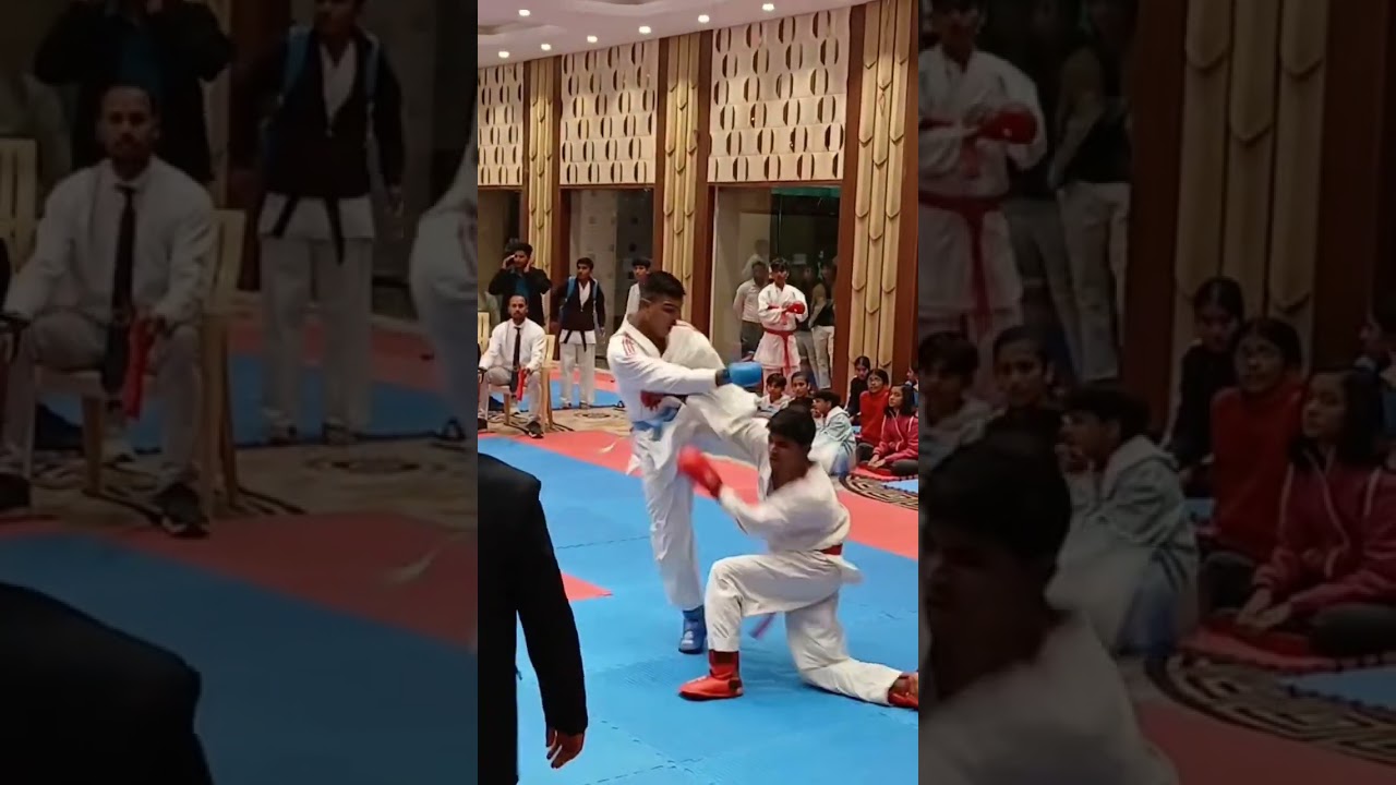 karate my life (mp)🌍