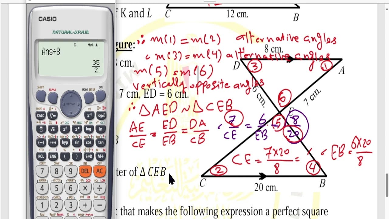 حل الاداء المنزلي الاسبوع السابع ماث ثانية اعدادي Math prep 2 week 7 term 2 homework