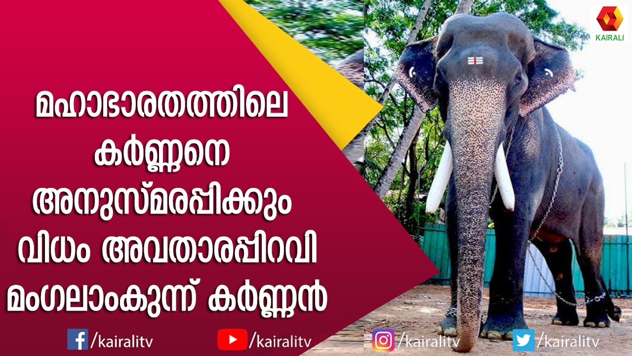 കർണ്ണൻ മനിശ്ശേരിയിൽ നിന്നും മംഗലാംകുന്നിൽ എത്തിയതിനു കാരണം | Mangalamkunnu Karnan | E for Elephant