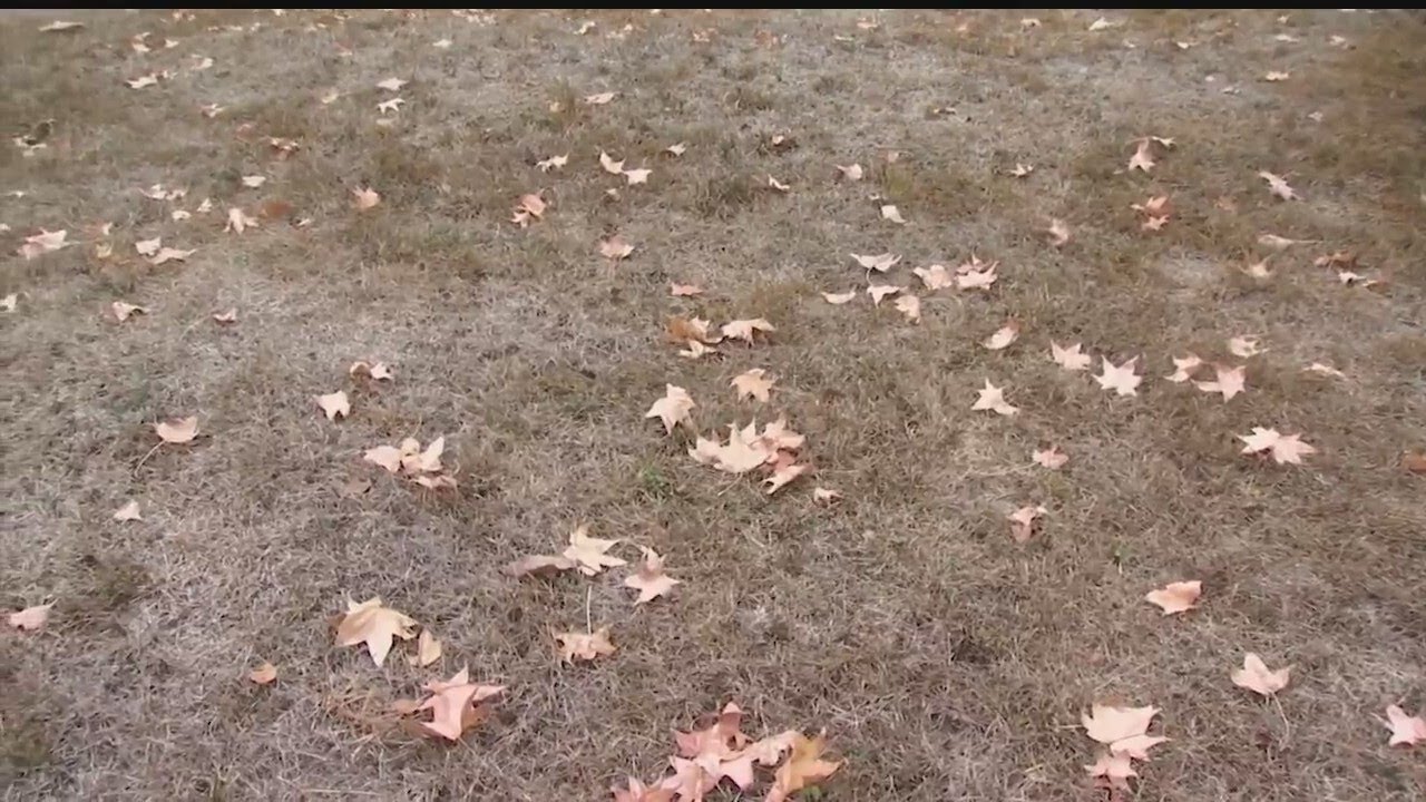 Grass seeding could be rough locally right now