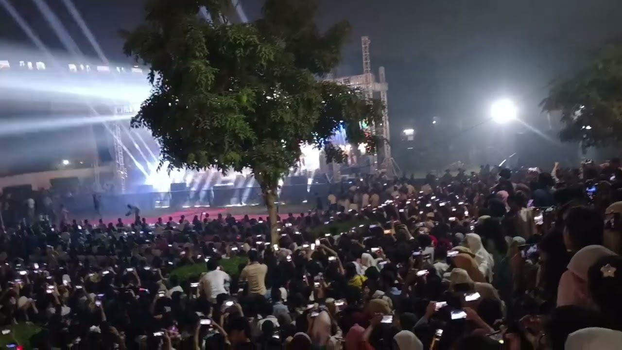 Jamia Millia Islamia Sufi Night by DAMSAAZ foundation Day Celebration #jmi #jamiamilliaislamia