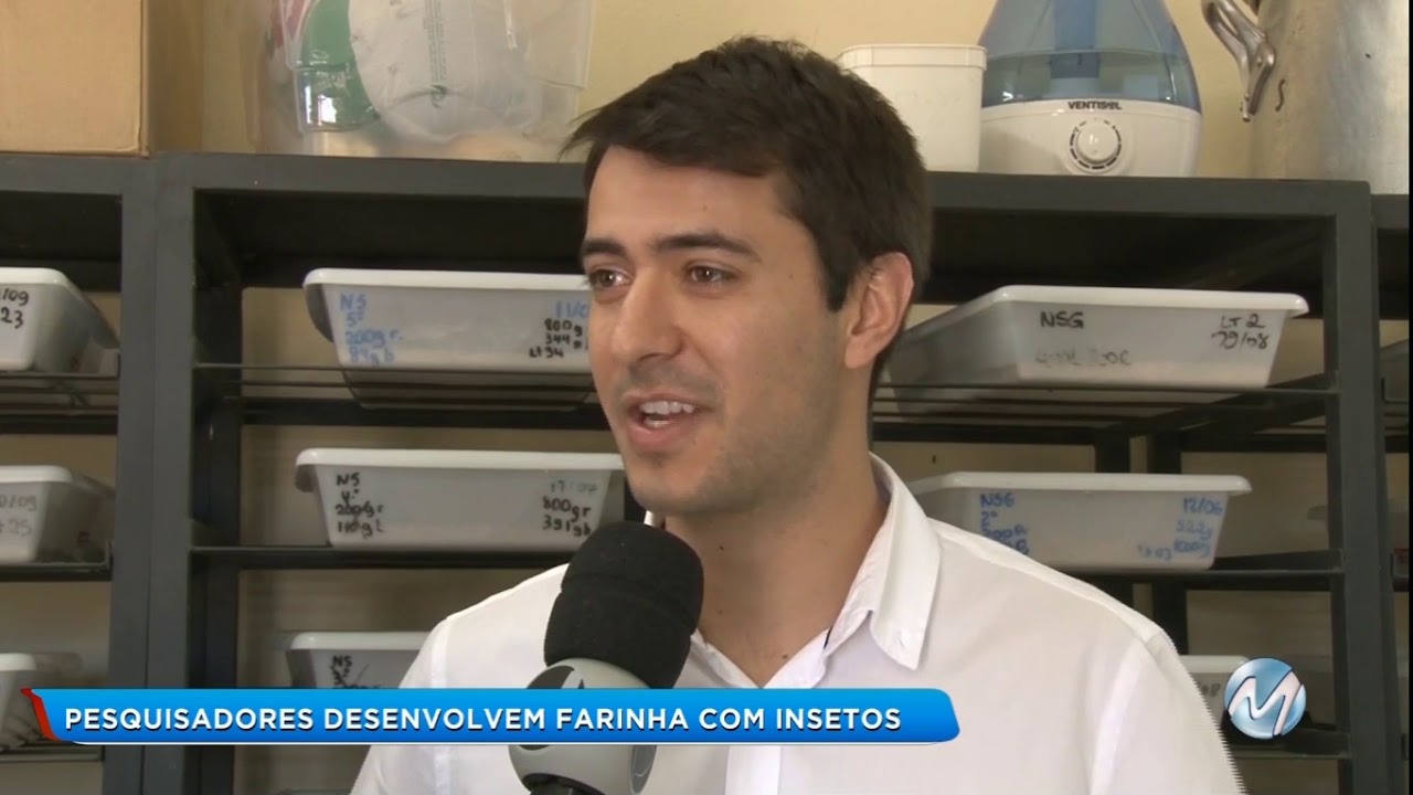 Pesquisadores desenvolvem farinha com insetos