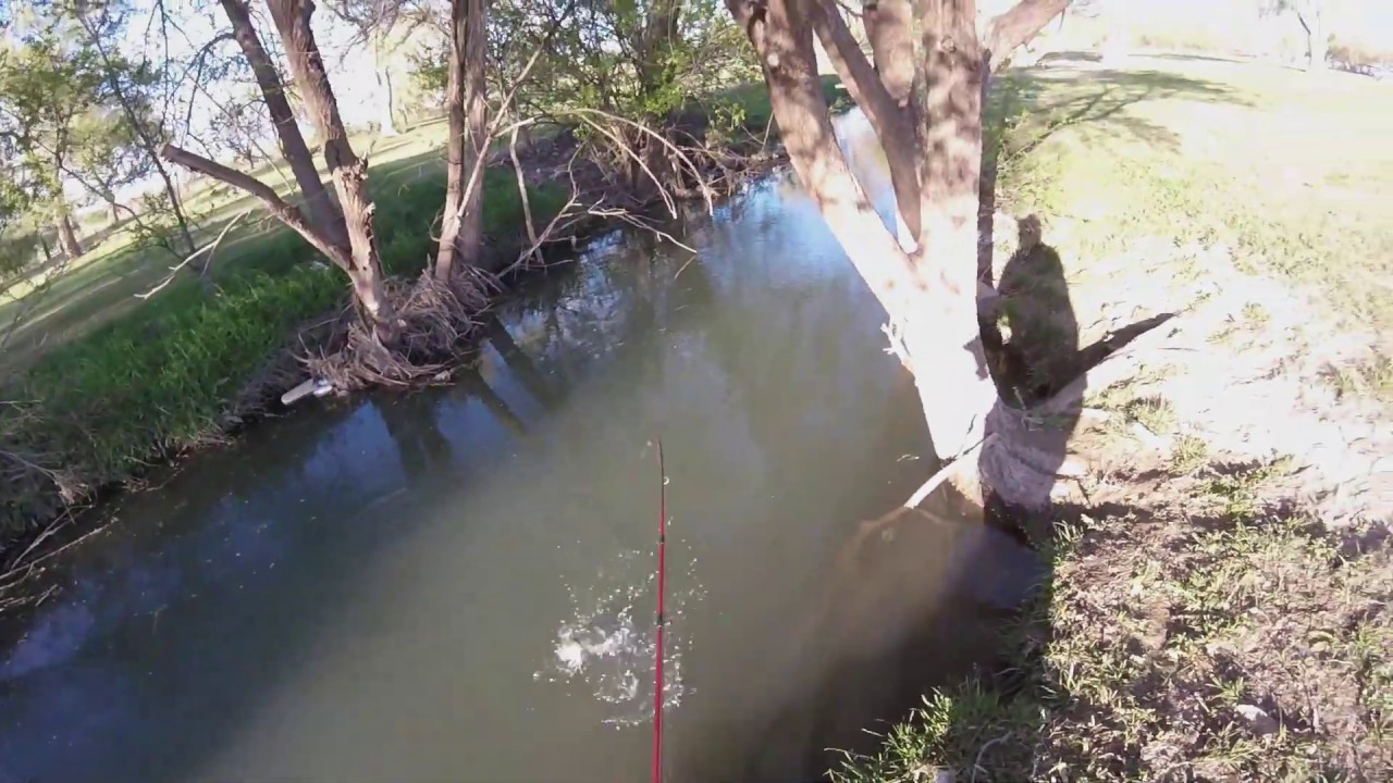 Fishing a New Spot across from Joyland in Lubbock