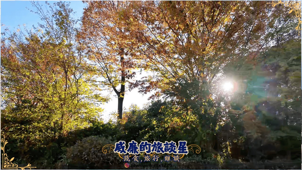 第一次來日本東京吉祥寺發現地圖上沒標註的浪漫秘境美到不想離開Kichijoji’s Unmapped Romance