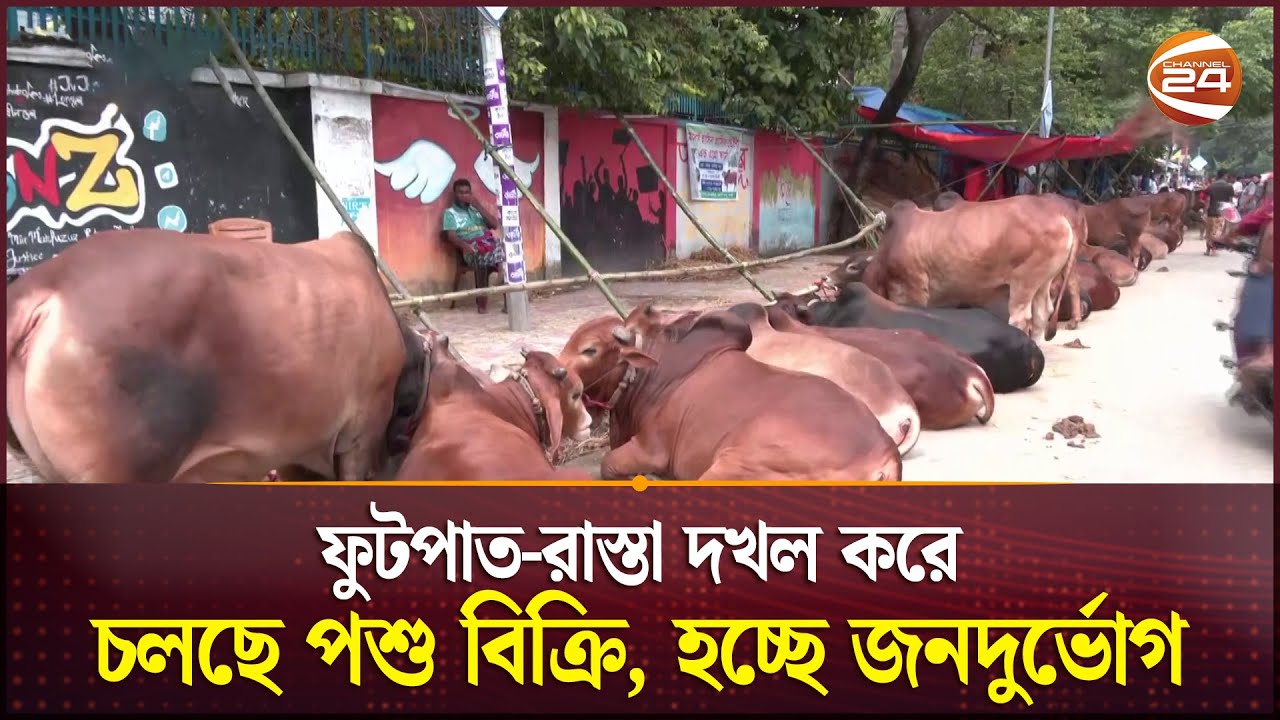ফুটপাত দখল করে পশুর হাট | Sidewalks Block | Cow Haat | Channel 24