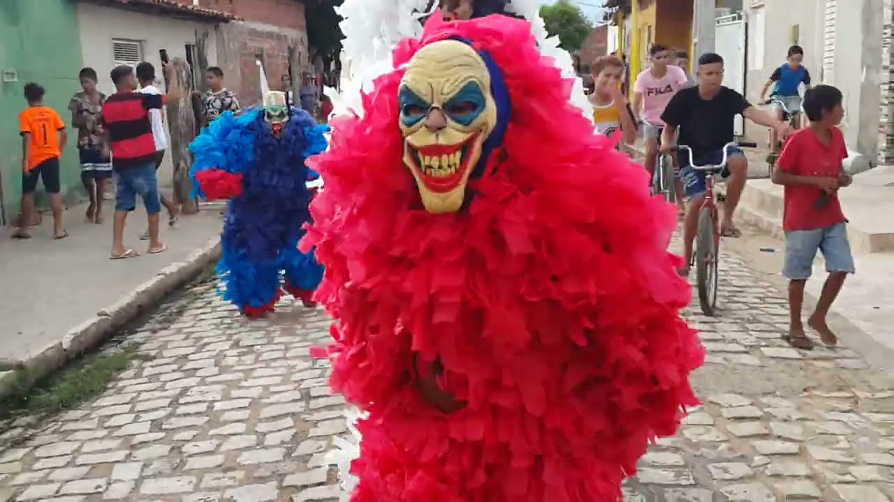 Domingo de Algeria com ursos de mossoro 2022 canal ursos kids