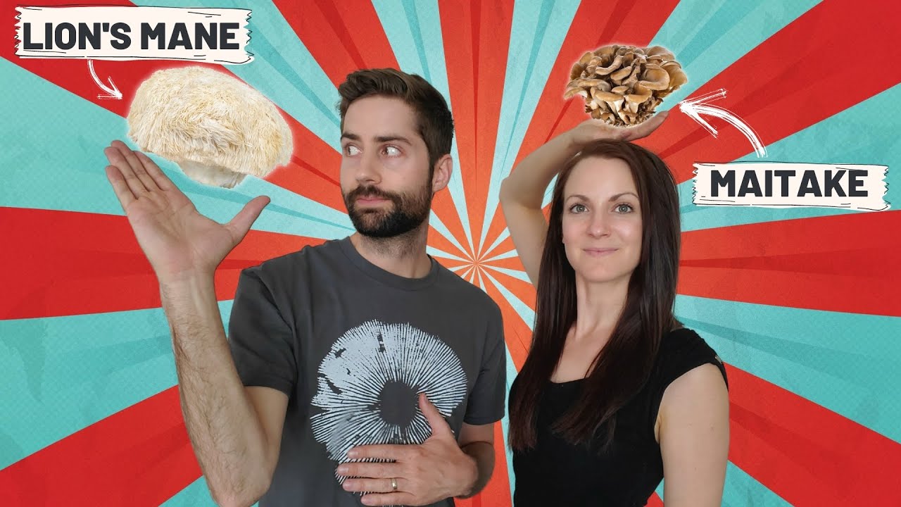 Невероятная сила львиной гривы и майтаке (Functional Mushroom ALL STARS)
