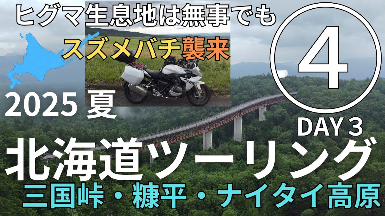 2025 夏  北海道ツーリング④　道東・十勝、三国峠、ナイタイ高原／ヒグマはいなかったけど、スズメバチが襲来／東京から4泊5日の弾丸ツーリング　【BMW R1250 RS】 モトブログ [4K]