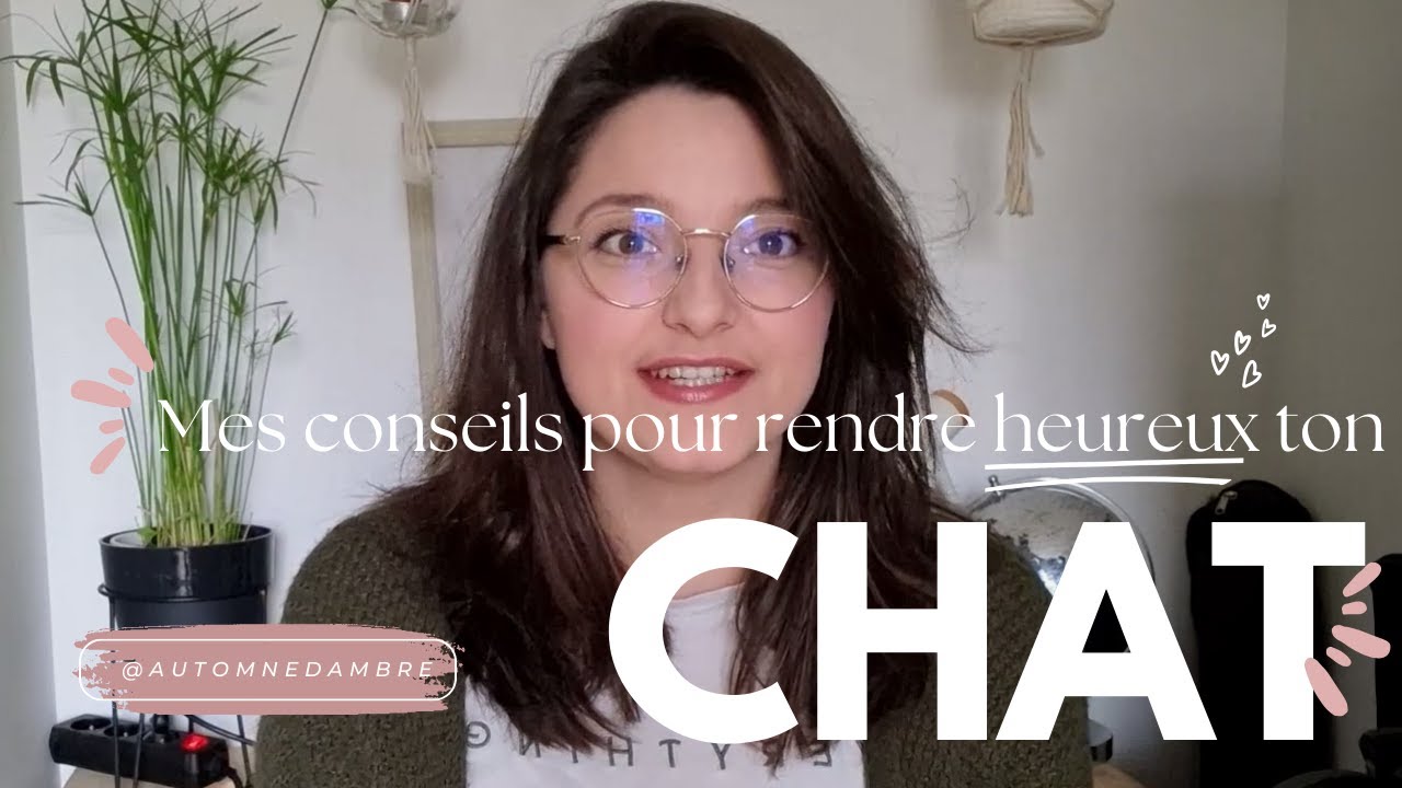 Mes conseils pour un chat heureux. Liti&egrave;re, Alimentation, Soins ....