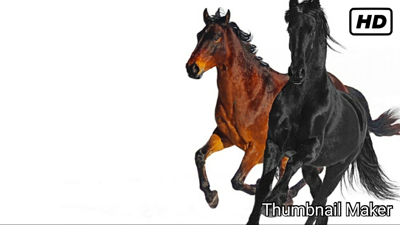 OLD TOWN ROAD INSTRUMENTAL BASS BOOSTED