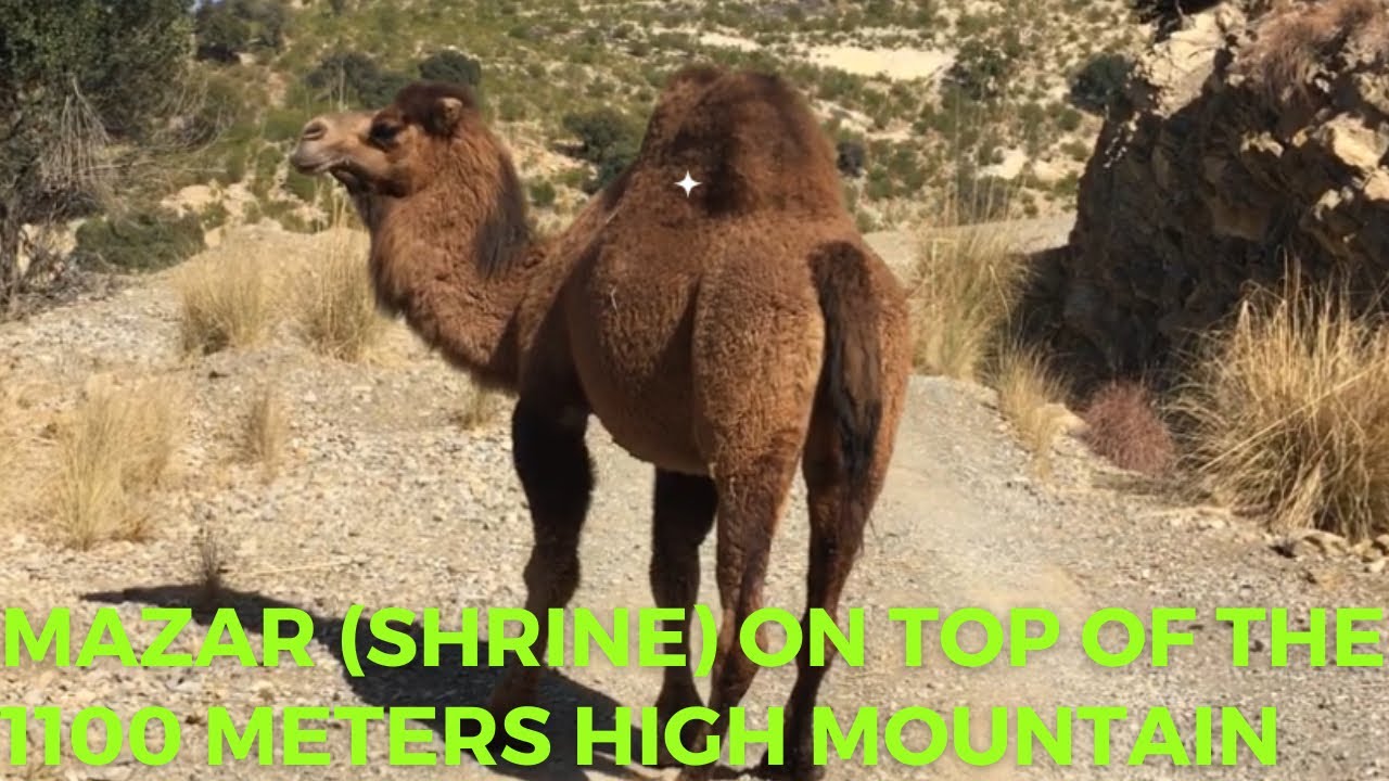 Historical shrine, Kokarak abba, Nomadic people, Khost Afghanistan, Camel mountains | خوست افغانستان