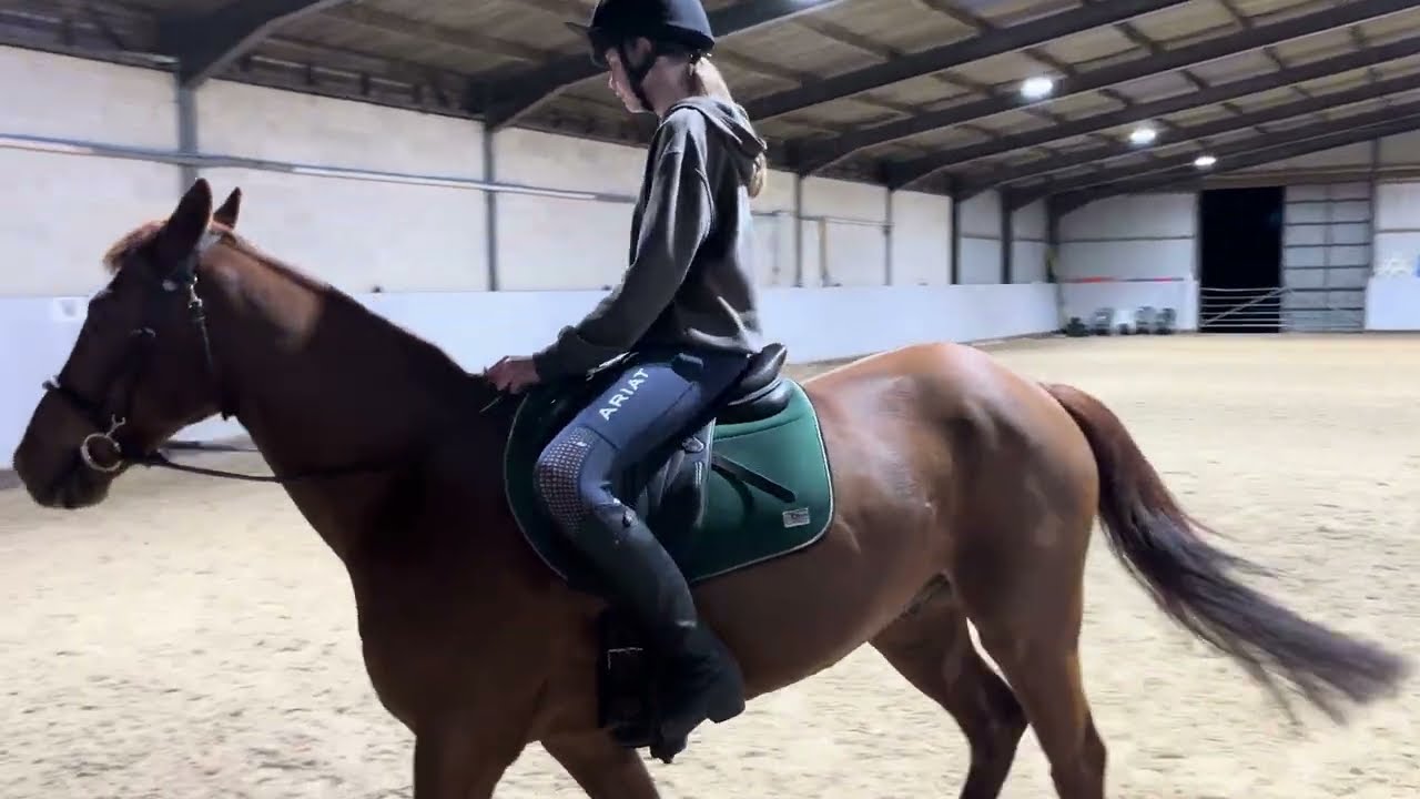 E-Riders Dressage - March 2025 - Any Tack - Prelim 2a (2020)