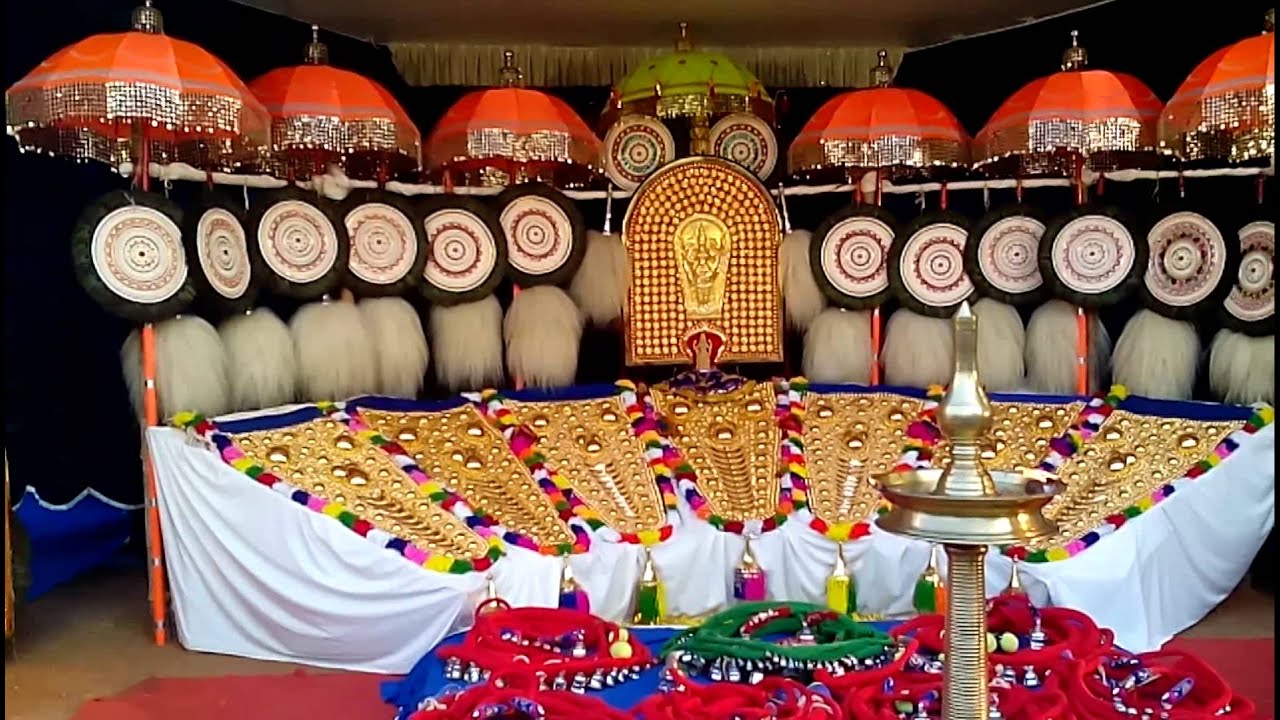 Peruvanam Pooram 2015 - Aana chamaya Pradarsanam.