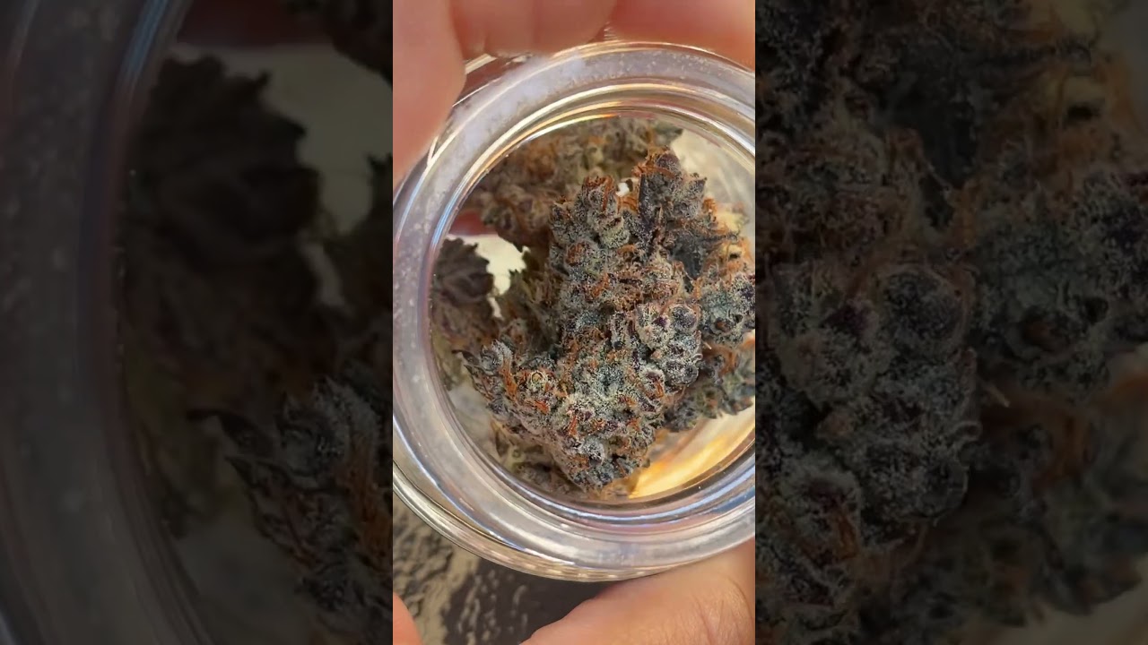 #shango #710 #persy #topshelf #bestflowers   #strainreviews #phoenix #palmsprings #jars #dispensary