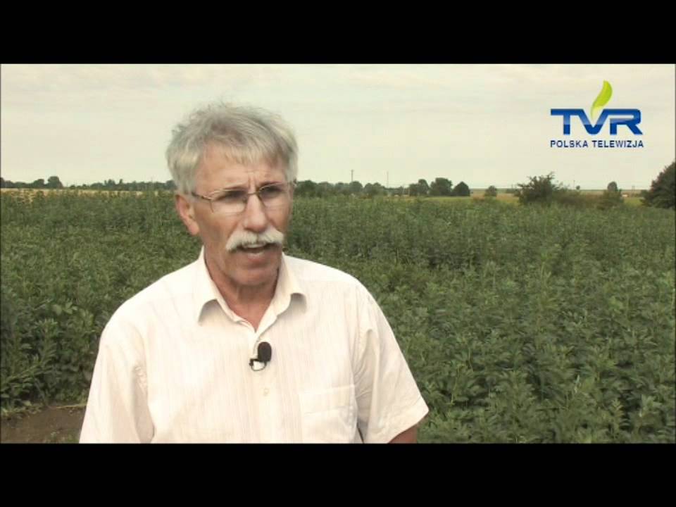 TVR o stanie gleby ....