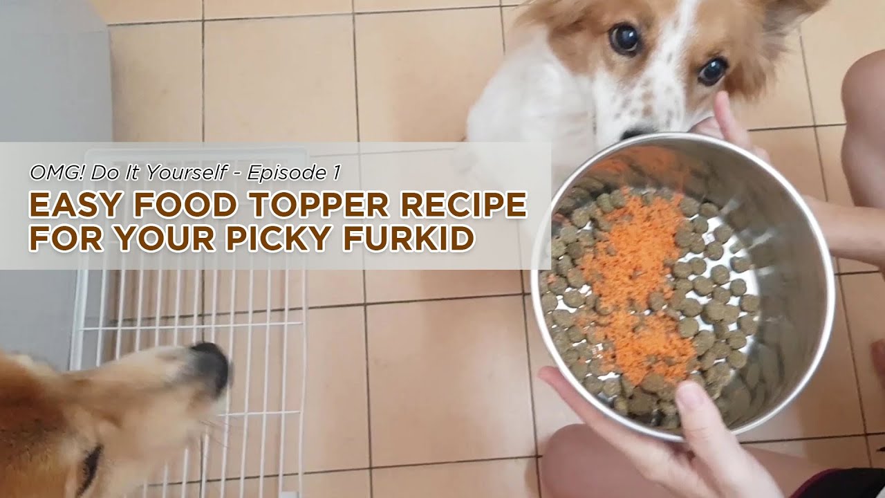Easy Food Topper Recipe for Your Picky Furkid | OMG! Do It Yourself