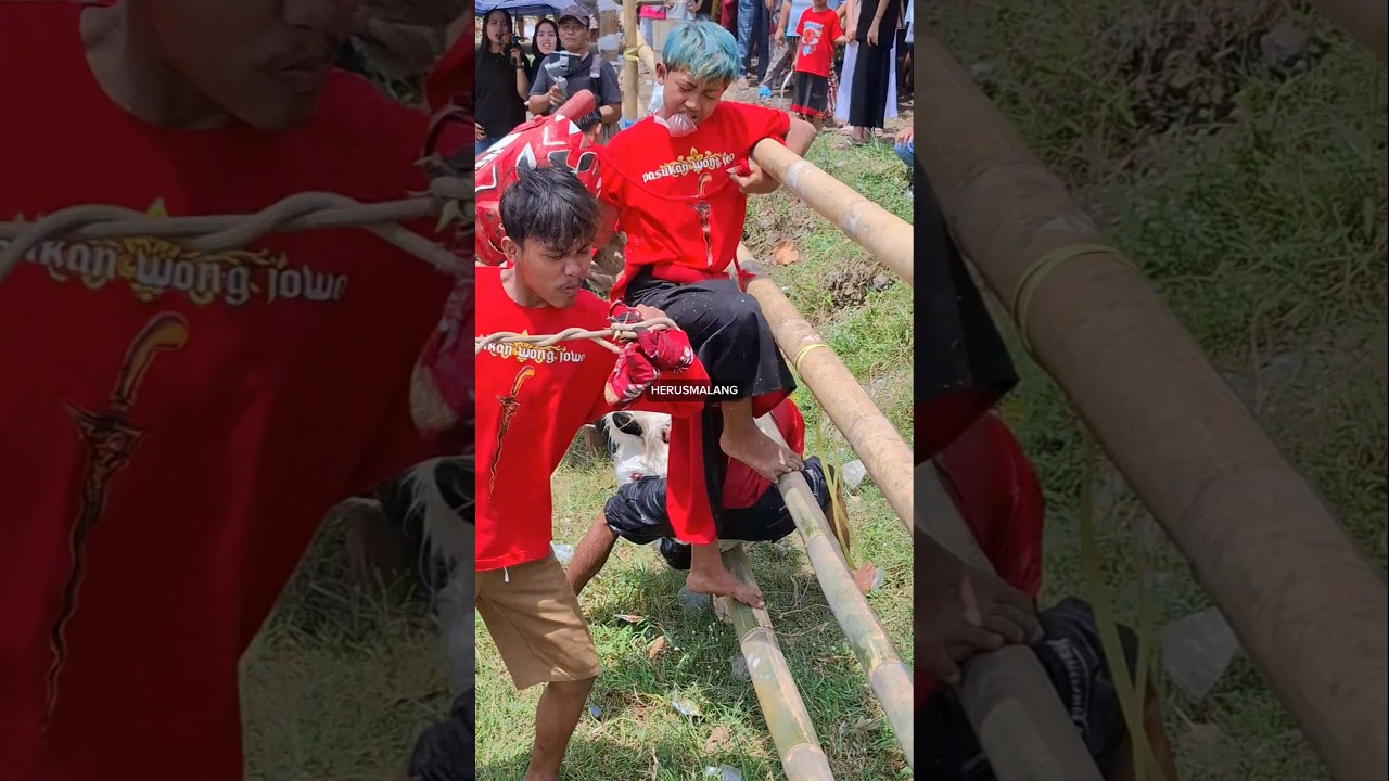 MUSIK MATI BIKIN CAPLOKAN KALAP NGAMUK
