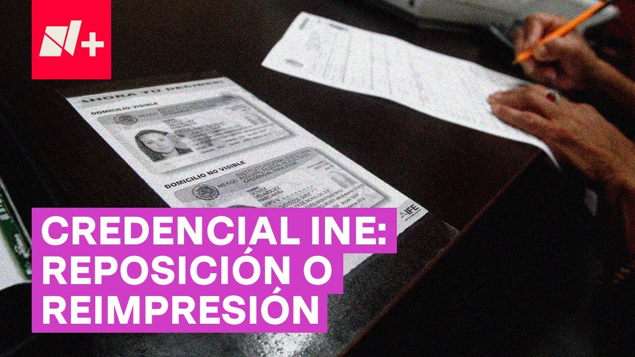 Credencial del INE: ¿Cuál es la diferencia entre reposición y reimpresión? - N+