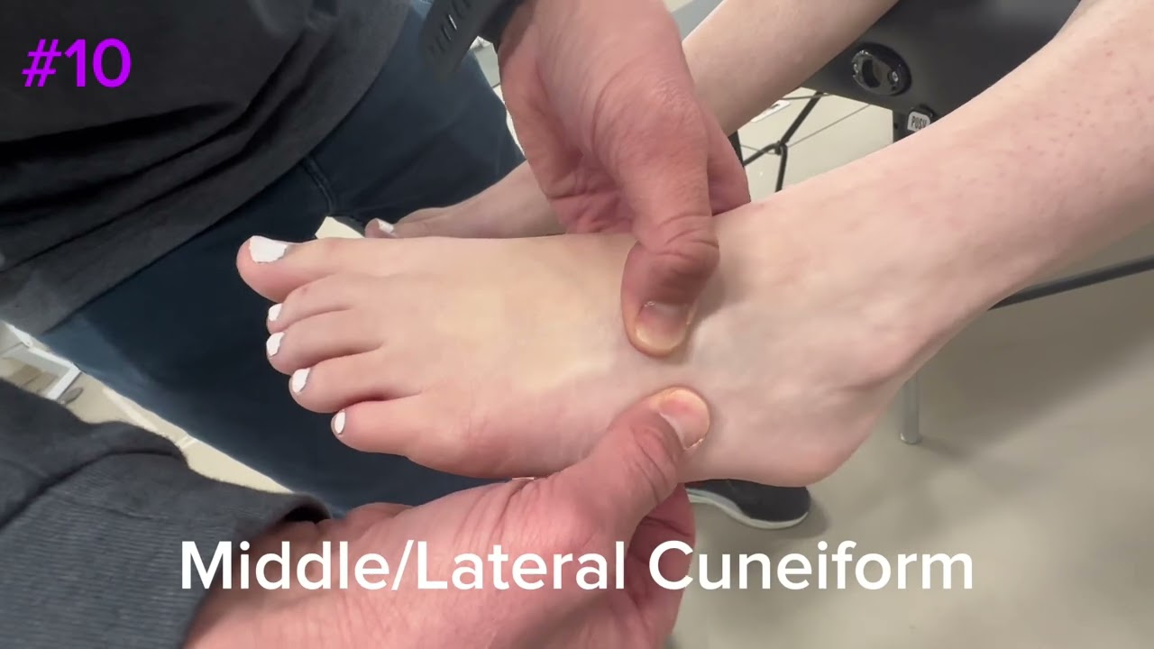Foot and Toe Palpations PT