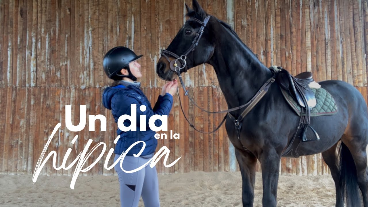 Entrenamiento de salto | Un día en la hípica 🐎✨