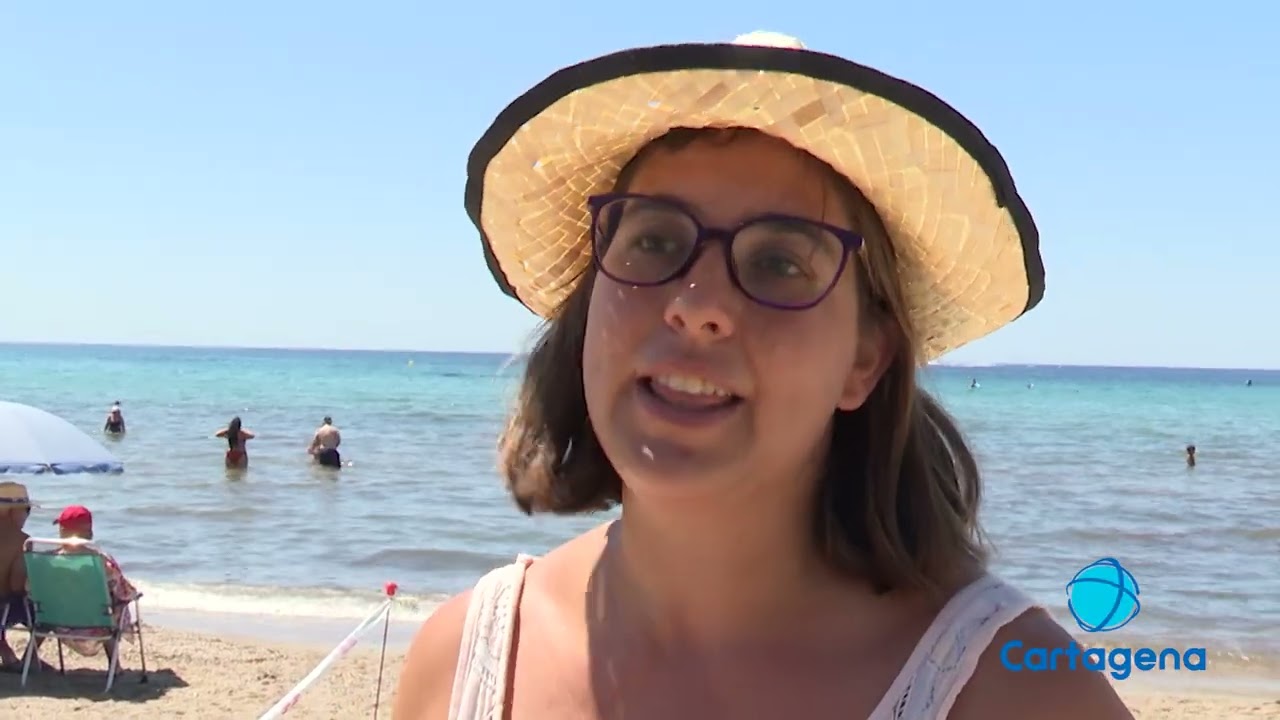 Se liberan 30 ejemplares de Tortuga Boba en Isla Plana
