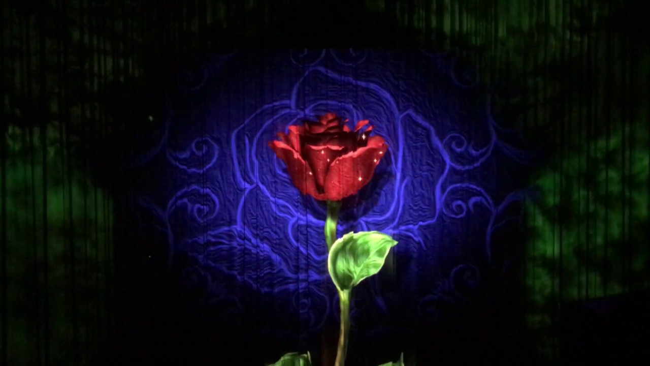 Beauty and the Beast Curtain Show. El Capitan.