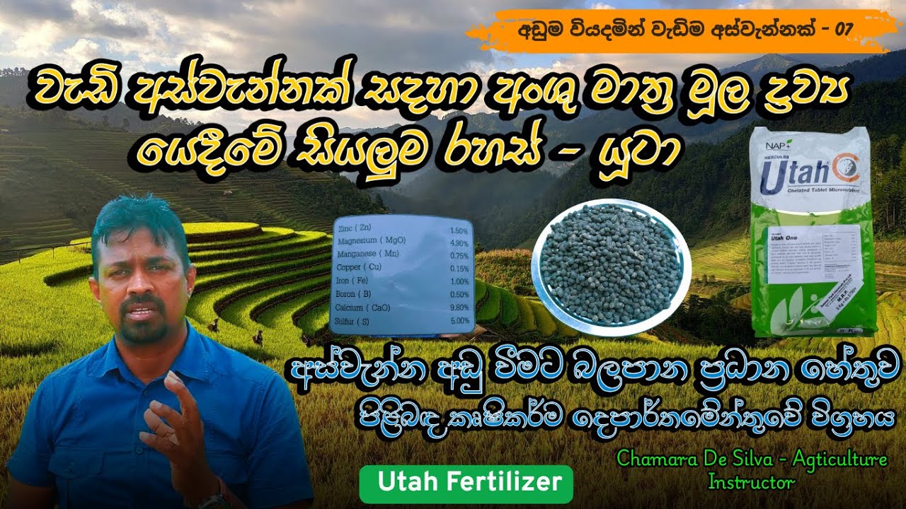 වැඩි අස්වැන්නක් සඳහා ක්ෂුද්‍ර පෝෂක | යූටා පොහොර | Utah Fertilizer